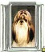 Dog charm - Shih Tzu 4